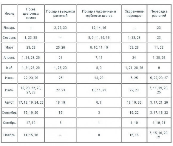 Когда же лучше пересаживать комнатные цветы?